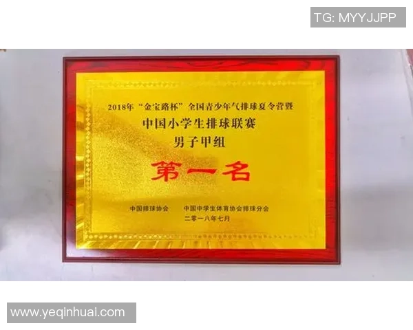 武汉排球队在冠军赛中的个人能力分析与表现评估 武汉排球队在冠军赛中的个人能力分析与表现评估