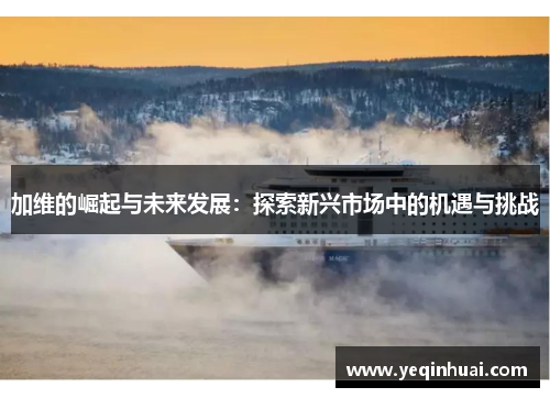 加维的崛起与未来发展：探索新兴市场中的机遇与挑战
